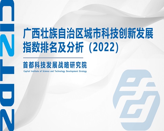 大鸡巴操骚逼视频【成果发布】广西壮族自治区城市科技创新发展指数排名及分析（2022）